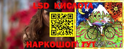 шишки Донецк