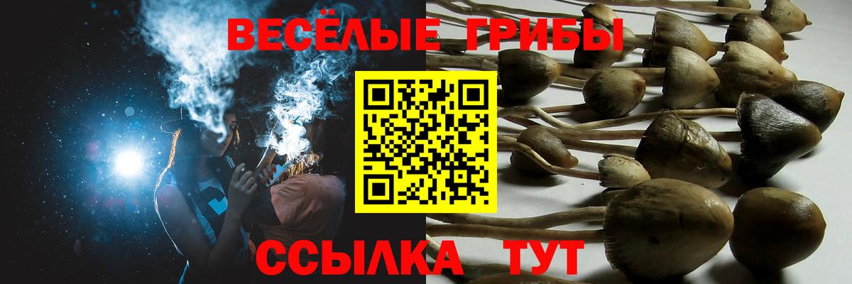 Псилоцибиновые грибы ЛСД Буйнакск