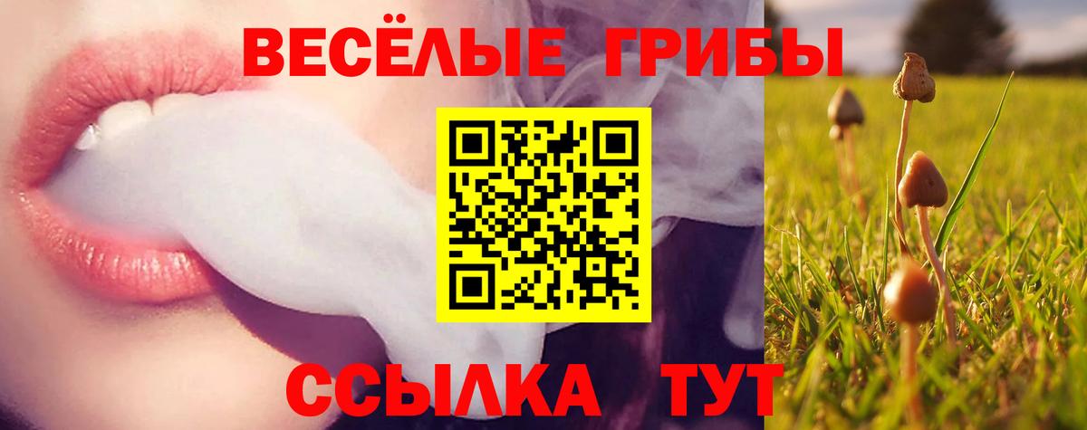 закладка  Вход с VPN  Буйнакск  Псилоцибиновые грибы MAGIC MUSHROOMS 